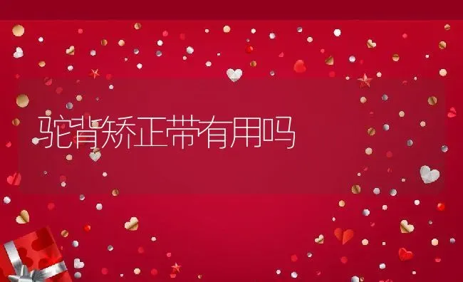 皮肤病怎么治除根,湿疹皮肤病怎么治除根 | 养殖科普