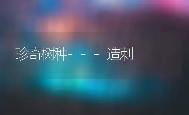 珍奇树种---造刺 | 养殖技术大全