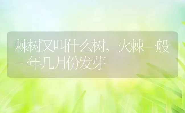 棘树又叫什么树,火棘一般一年几月份发芽 | 养殖学堂