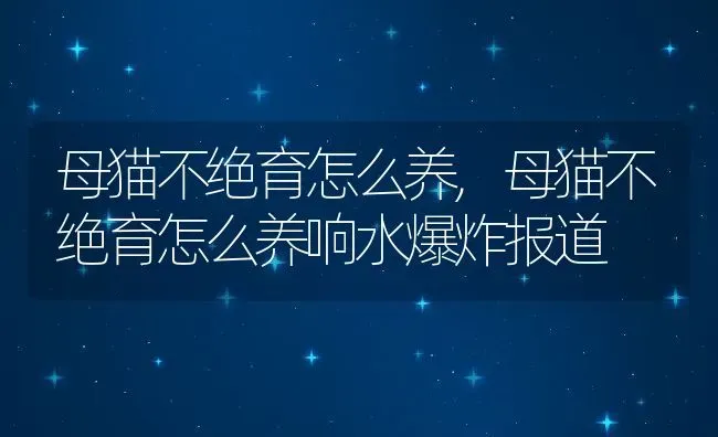 母猫不绝育怎么养,母猫不绝育怎么养响水爆炸报道 | 养殖资料