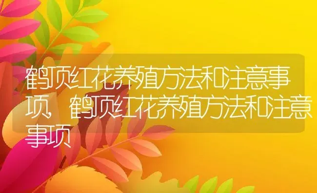 鹤顶红花养殖方法和注意事项,鹤顶红花养殖方法和注意事项 | 养殖科普