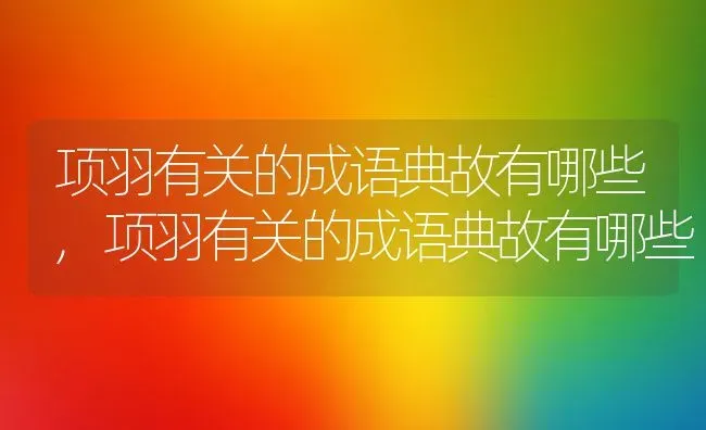 项羽有关的成语典故有哪些,项羽有关的成语典故有哪些 | 养殖科普