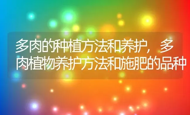 多肉的种植方法和养护,多肉植物养护方法和施肥的品种 | 养殖学堂