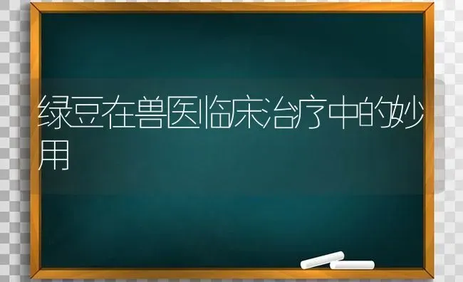 绿豆在兽医临床治疗中的妙用 | 养殖知识