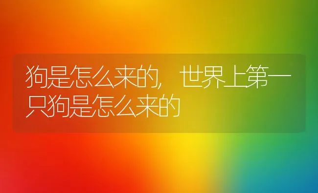 狗是怎么来的,世界上第一只狗是怎么来的 | 养殖科普