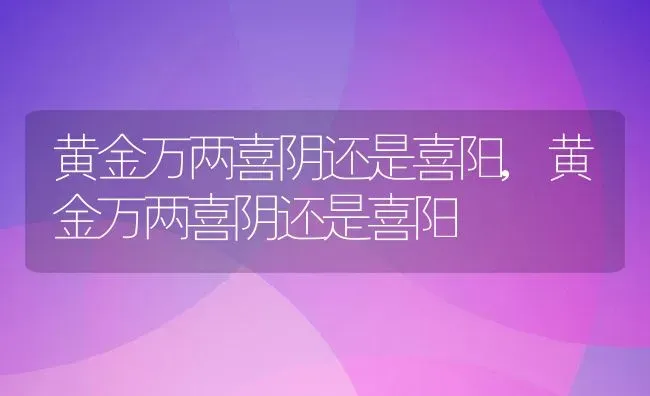 黄金万两喜阴还是喜阳,黄金万两喜阴还是喜阳 | 养殖科普