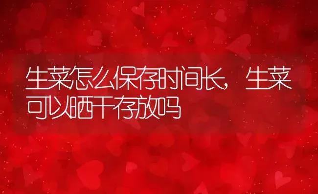 生菜怎么保存时间长,生菜可以晒干存放吗 | 养殖学堂