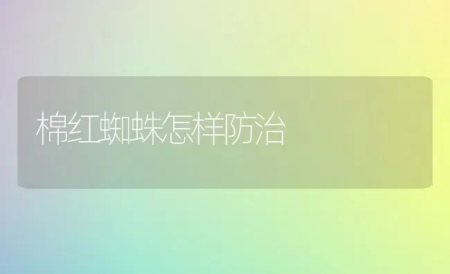 棉红蜘蛛怎样防治 | 养殖技术大全