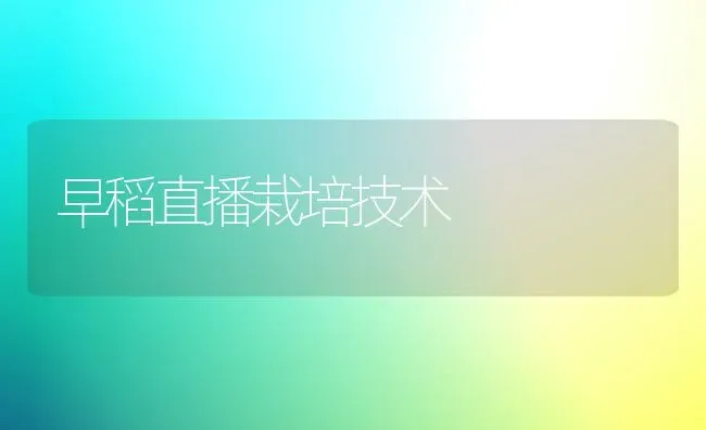 早稻直播栽培技术 | 养殖知识