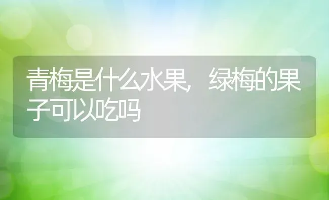 青梅是什么水果,绿梅的果子可以吃吗 | 养殖学堂