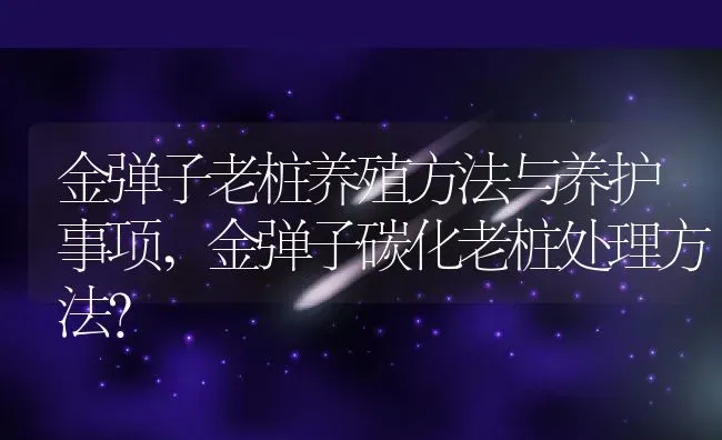 金弹子老桩养殖方法与养护事项,金弹子碳化老桩处理方法？ | 养殖科普