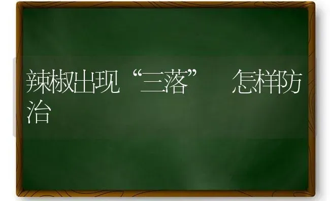 辣椒出现“三落” 怎样防治 | 养殖技术大全