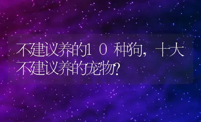 不建议养的10种狗,十大不建议养的宠物？ | 养殖学堂