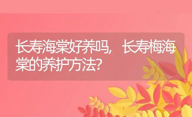 长寿海棠好养吗,长寿梅海棠的养护方法？ | 养殖科普