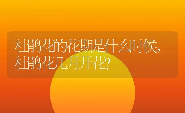 杜鹃花的花期是什么时候,杜鹃花几月开花？ | 养殖科普