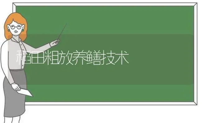 稻田粗放养鳝技术 | 养殖技术大全