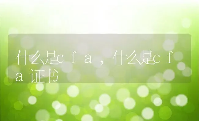 什么是cfa,什么是cfa证书 | 养殖资料