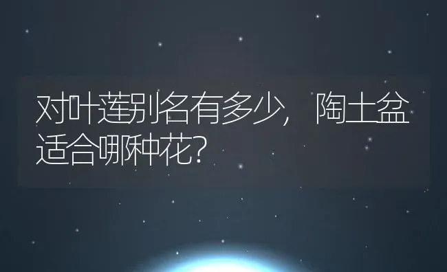 对叶莲别名有多少,陶土盆适合哪种花？ | 养殖科普