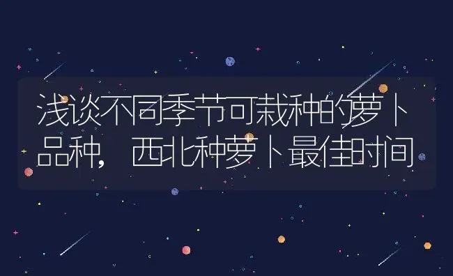 浅谈不同季节可栽种的萝卜品种,西北种萝卜最佳时间 | 养殖学堂