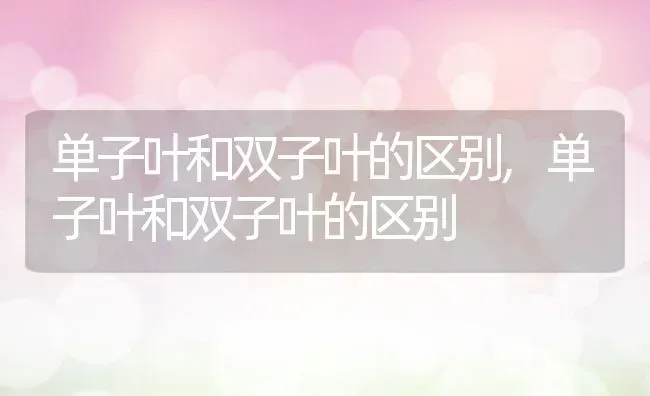 单子叶和双子叶的区别,单子叶和双子叶的区别 | 养殖科普