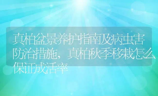 草莓常见病虫害及防治方法,盆栽四季草莓生的是什么病，如何防治 | 养殖学堂