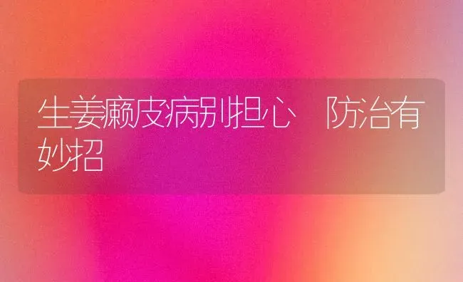 生姜癞皮病别担心 防治有妙招 | 养殖技术大全