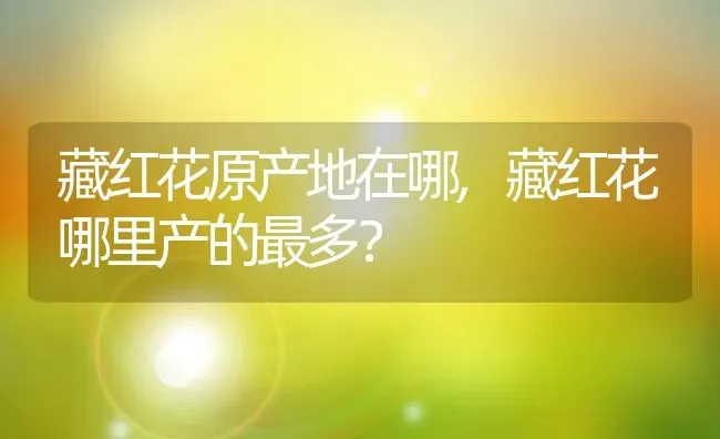 藏红花原产地在哪,藏红花哪里产的最多？ | 养殖科普