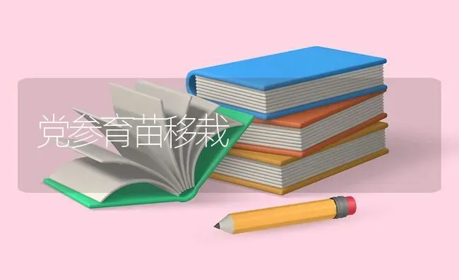 党参育苗移栽 | 养殖技术大全
