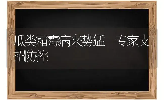 瓜类霜霉病来势猛 专家支招防控 | 养殖知识