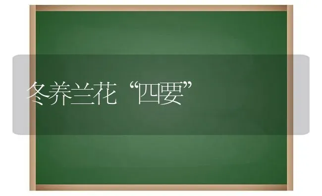 冬养兰花“四要” | 养殖知识