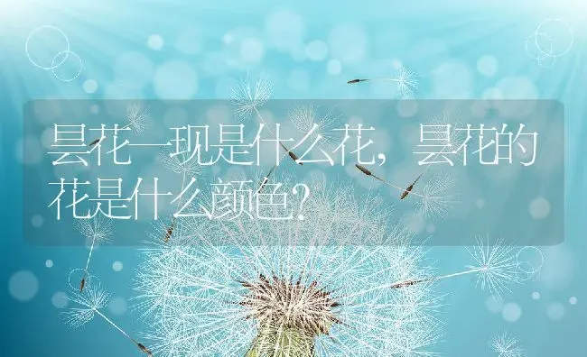 昙花一现是什么花,昙花的花是什么颜色？ | 养殖科普