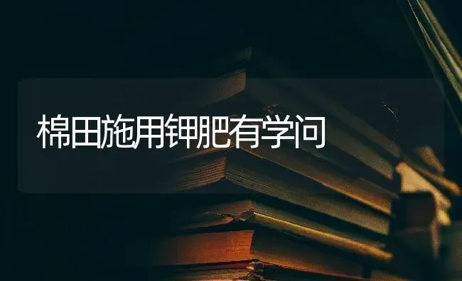 棉田施用钾肥有学问 | 养殖知识