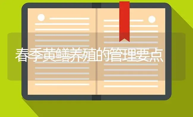 春季黄鳝养殖的管理要点 | 养殖知识