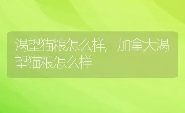 渴望猫粮怎么样,加拿大渴望猫粮怎么样 | 养殖资料