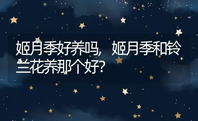 姬月季好养吗,姬月季和铃兰花养那个好？ | 养殖学堂