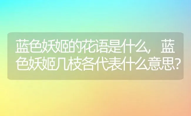 蓝色妖姬的花语是什么,蓝色妖姬几枝各代表什么意思？ | 养殖学堂