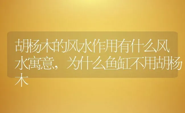 胡杨木的风水作用有什么风水寓意,为什么鱼缸不用胡杨木 | 养殖学堂