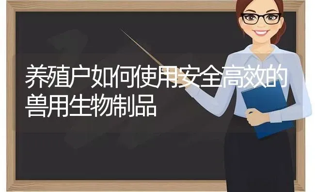 养殖户如何使用安全高效的兽用生物制品 | 养殖知识