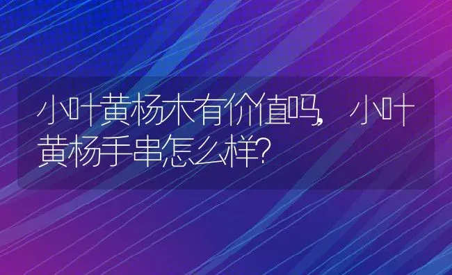 小叶黄杨木有价值吗,小叶黄杨手串怎么样？ | 养殖科普