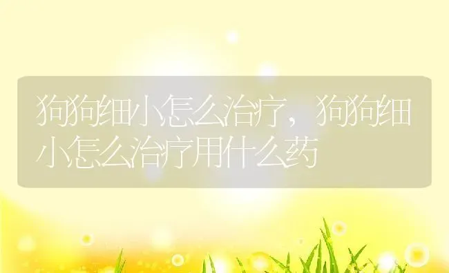 狗狗细小怎么治疗,狗狗细小怎么治疗用什么药 | 养殖科普