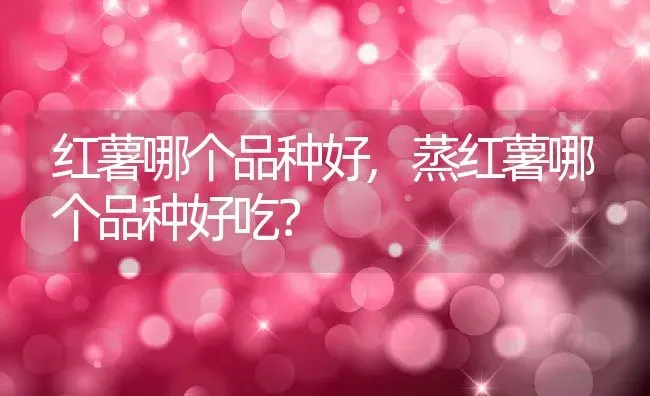 海棠的花语和寓意,海棠花的特点及象征意义？ | 养殖科普