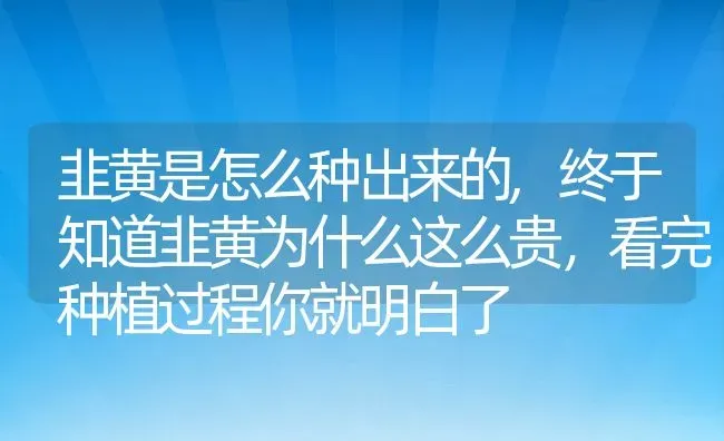 槟榔长什么样子,槟榔谁发明的 | 养殖科普