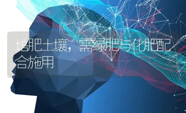 培肥土壤,需绿肥与化肥配合施用 | 养殖技术大全