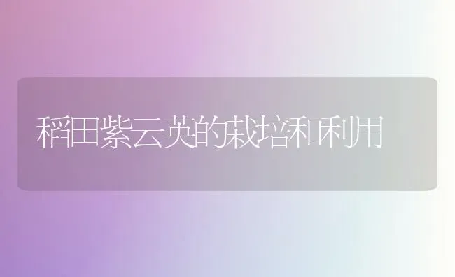 稻田紫云英的栽培和利用 | 养殖技术大全