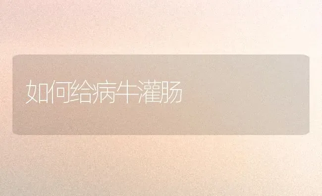 如何给病牛灌肠 | 养殖知识
