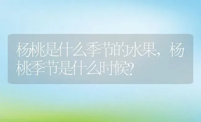 杨桃是什么季节的水果,杨桃季节是什么时候？ | 养殖科普