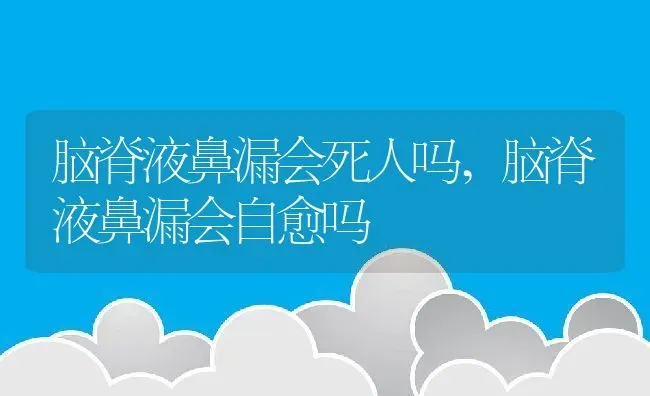 脑脊液鼻漏会死人吗,脑脊液鼻漏会自愈吗 | 养殖资料