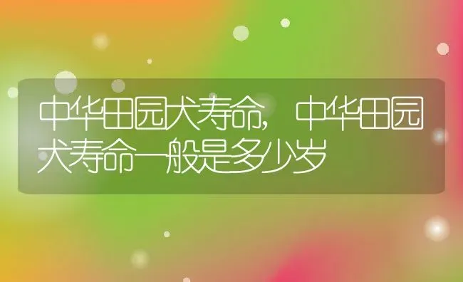 中华田园犬寿命,中华田园犬寿命一般是多少岁 | 养殖科普