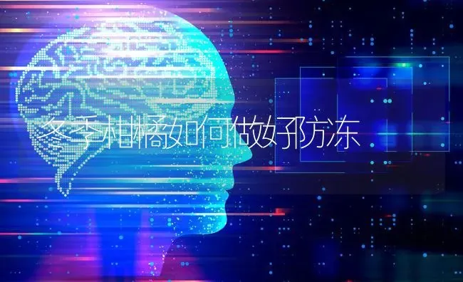 冬季柑橘如何做好防冻 | 养殖技术大全