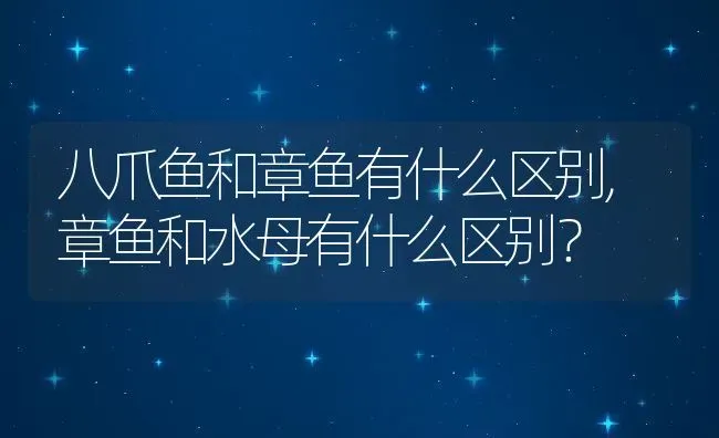 八爪鱼和章鱼有什么区别,章鱼和水母有什么区别？ | 养殖科普